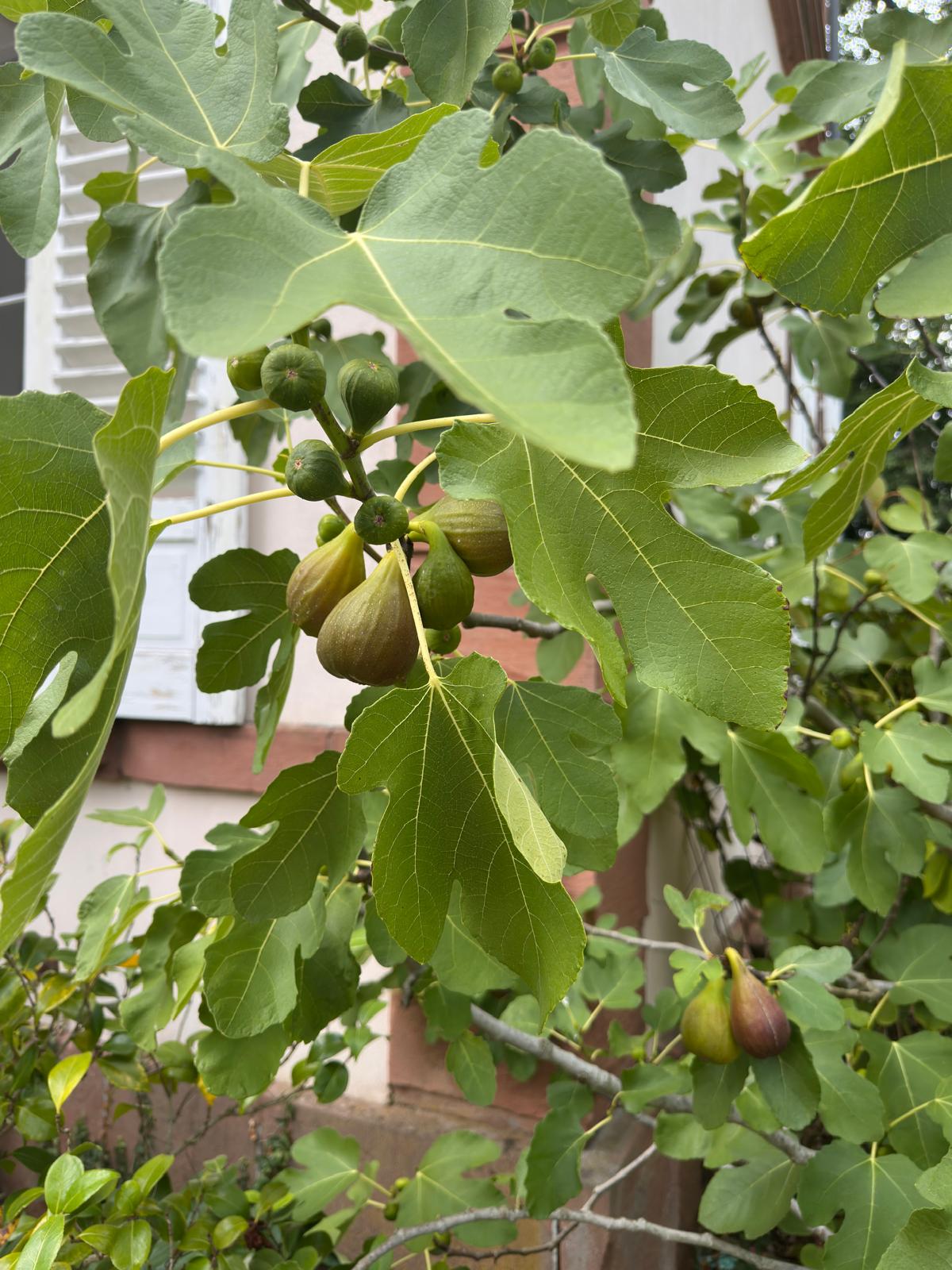 f89b3ed2-1573-4d9b-89bb-398b37bd1f4f